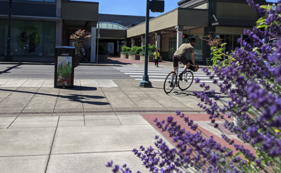 A photo of a city area. Someone is biking, and plants are visible.